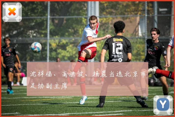 沈祥福、高洪波、杨晨当选北京市足协副主席