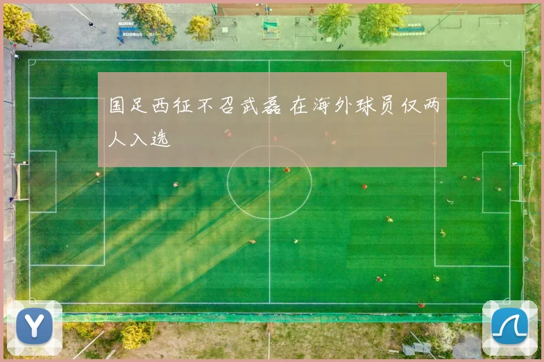 国足西征不召武磊 在海外球员仅两人入选